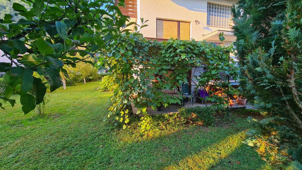 Apartment Ajdna Zirovnica Zewnętrze zdjęcie