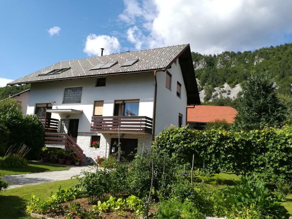 Apartment Ajdna Zirovnica Zewnętrze zdjęcie